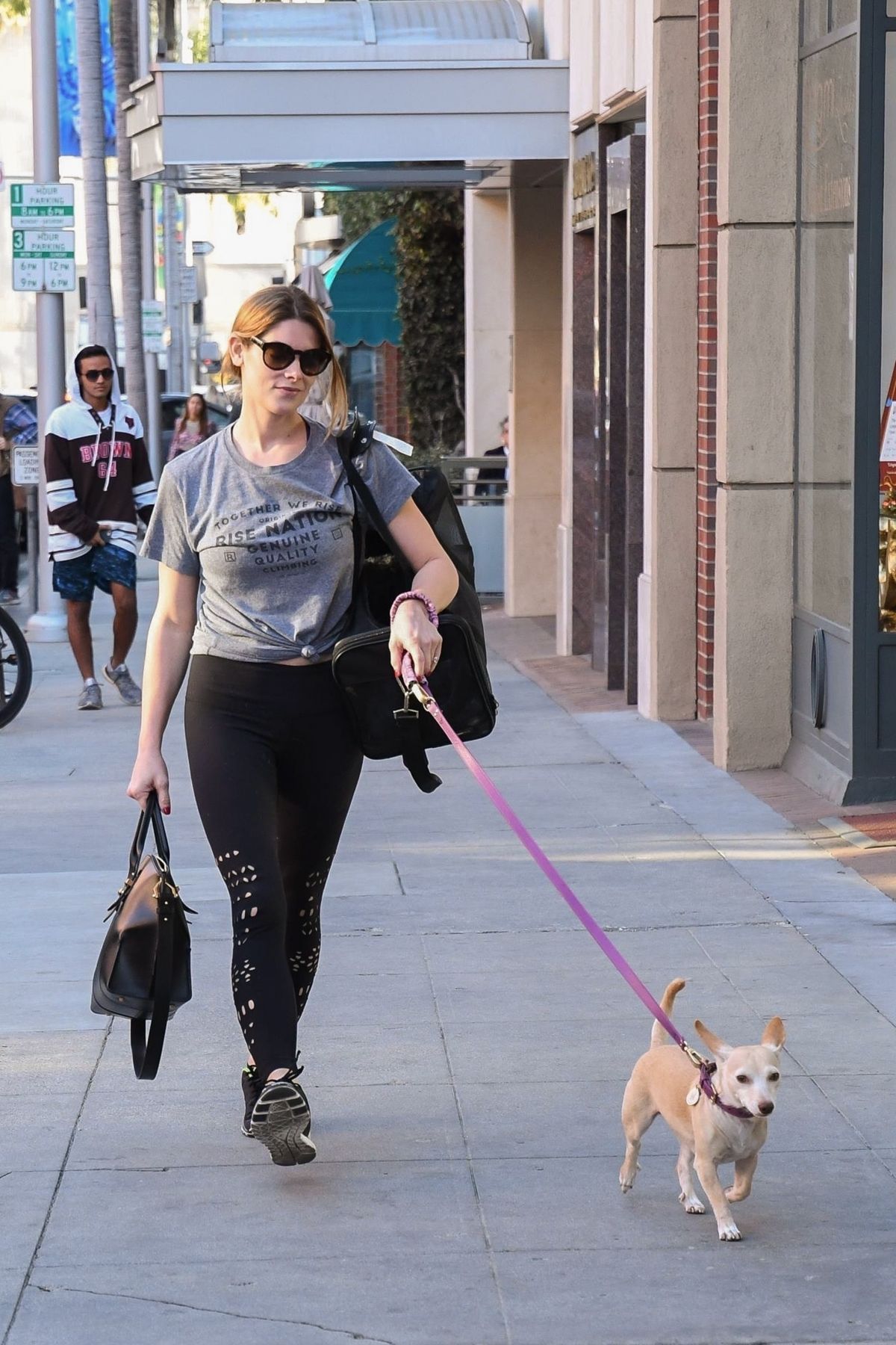 Ashley Greene, photo #990363
