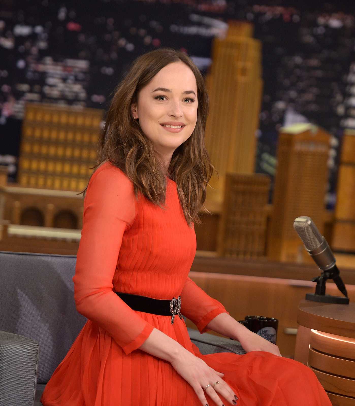 Dakota Johnson, photo #906212
