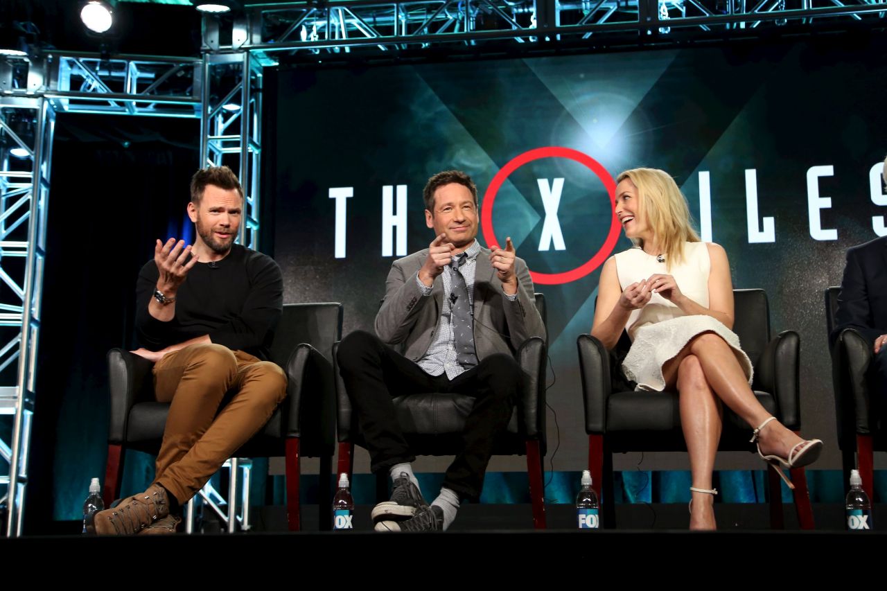 David Duchovny, photo #827474
