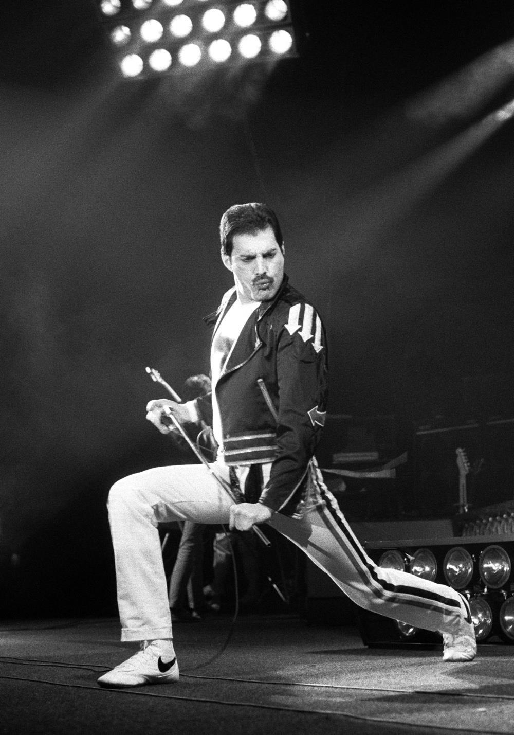 Freddie Mercury, photo #683351