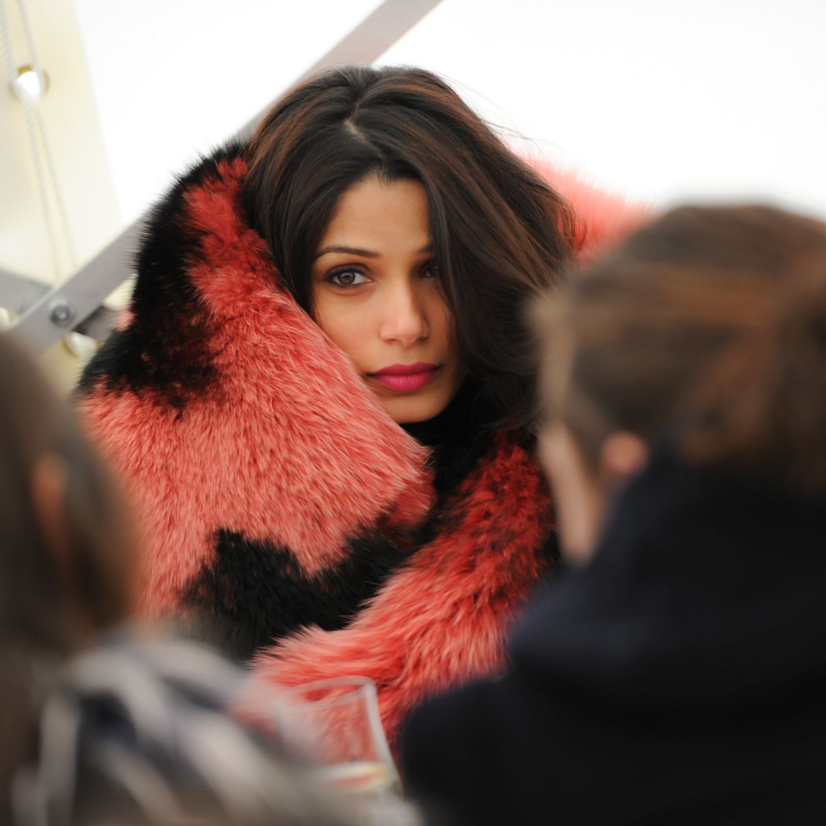 Freida Pinto, photo #653970
