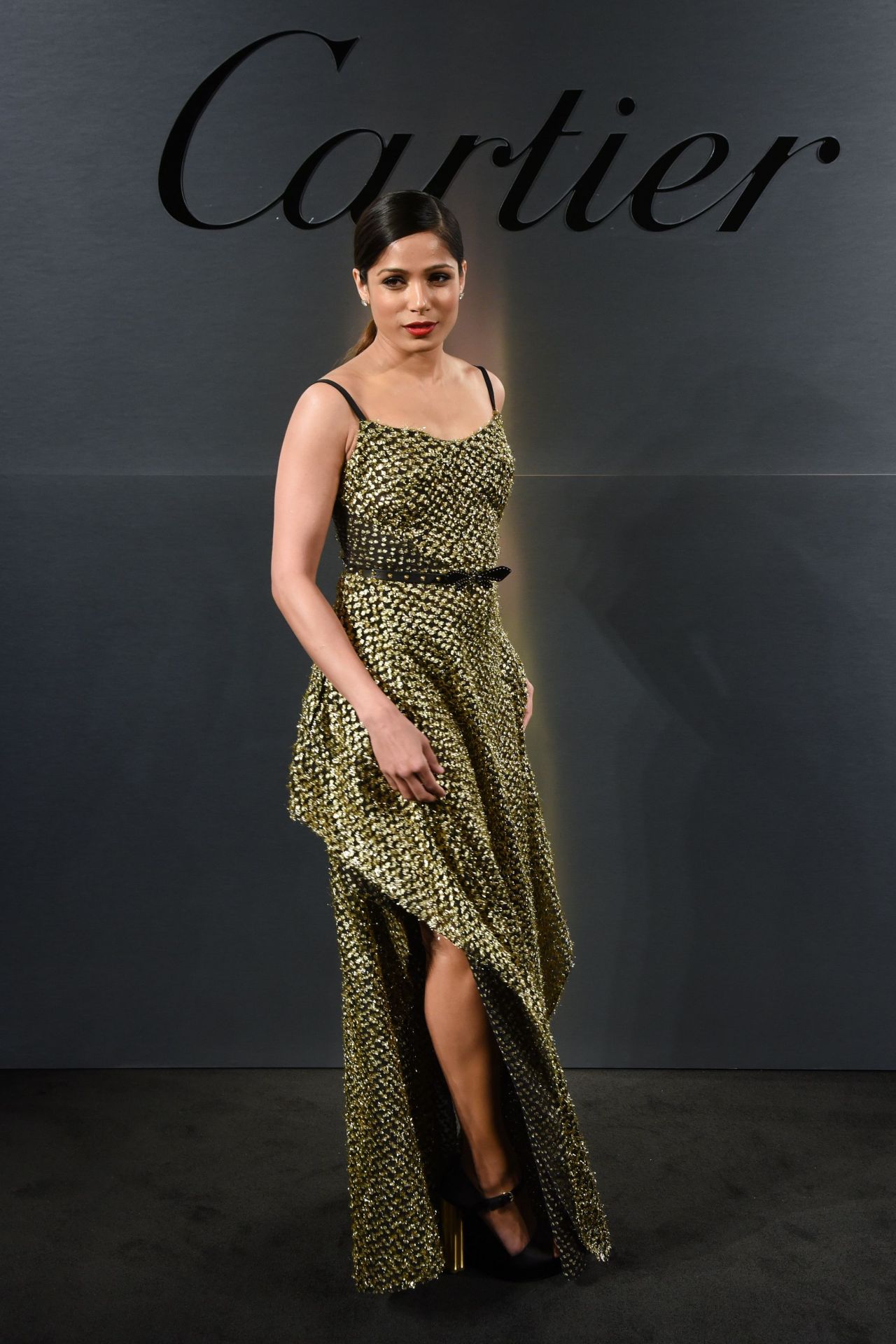 Freida Pinto, photo #1027158