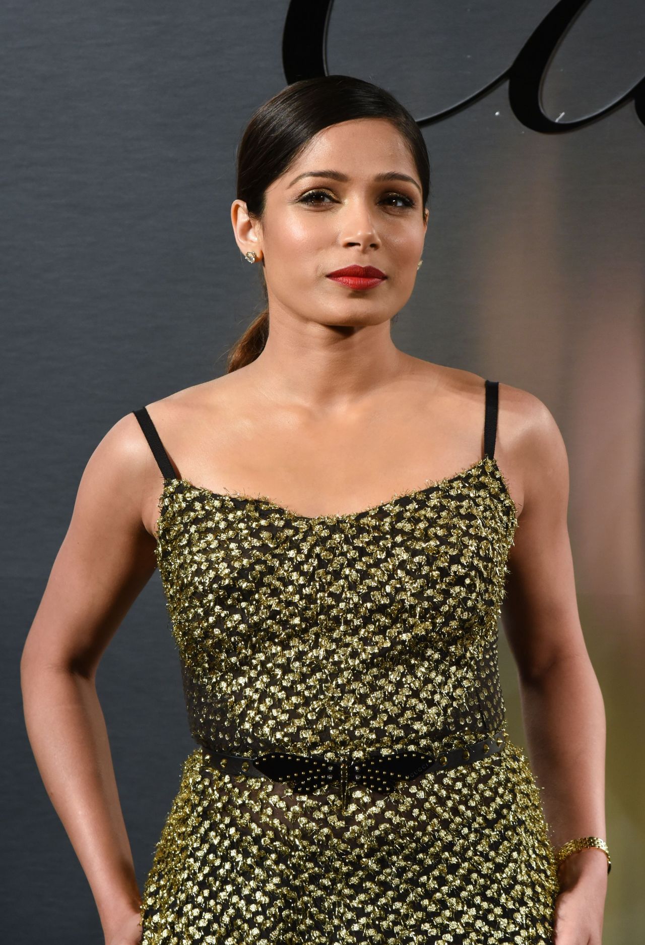 Freida Pinto, photo #1027182
