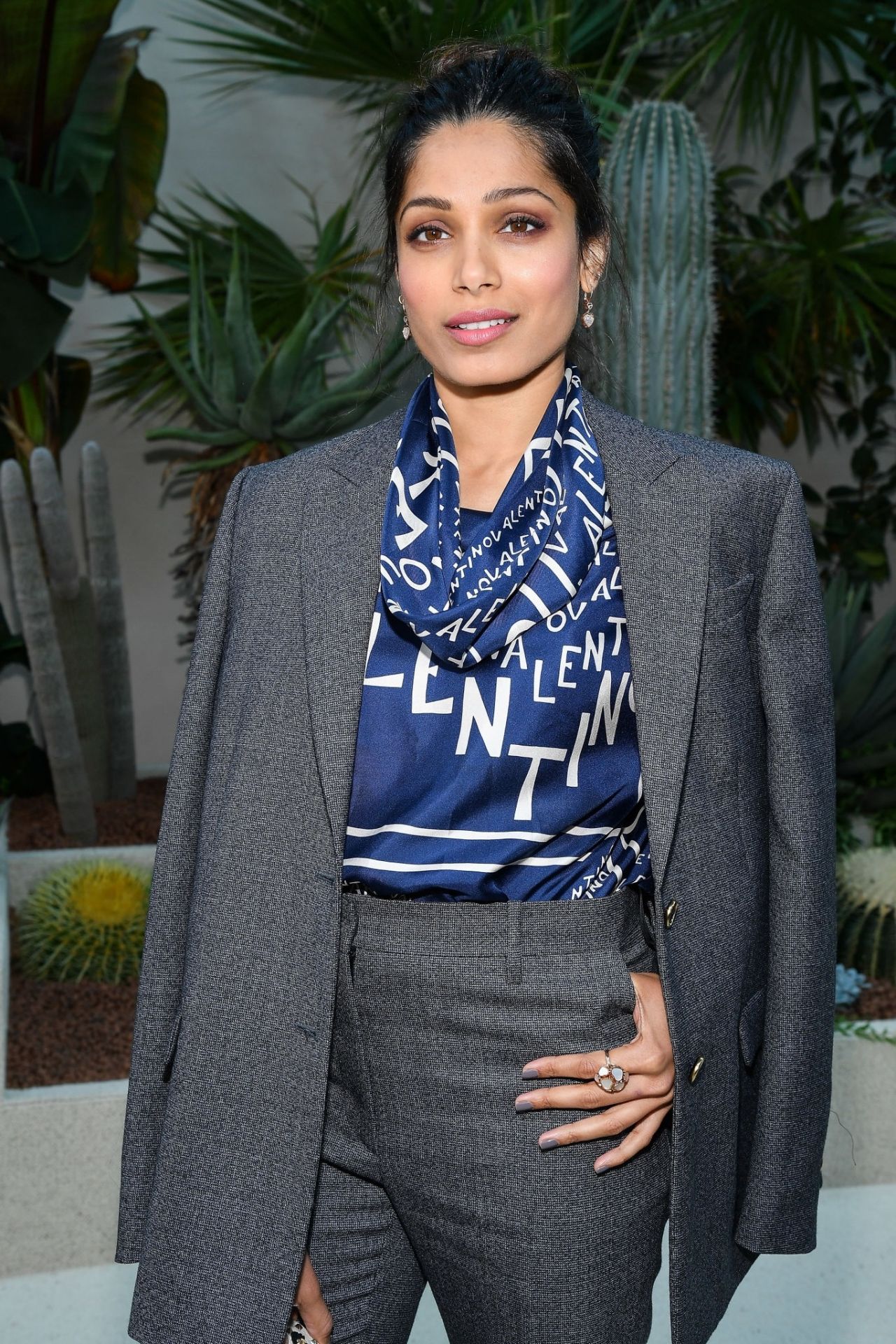 Freida Pinto, photo #1071306