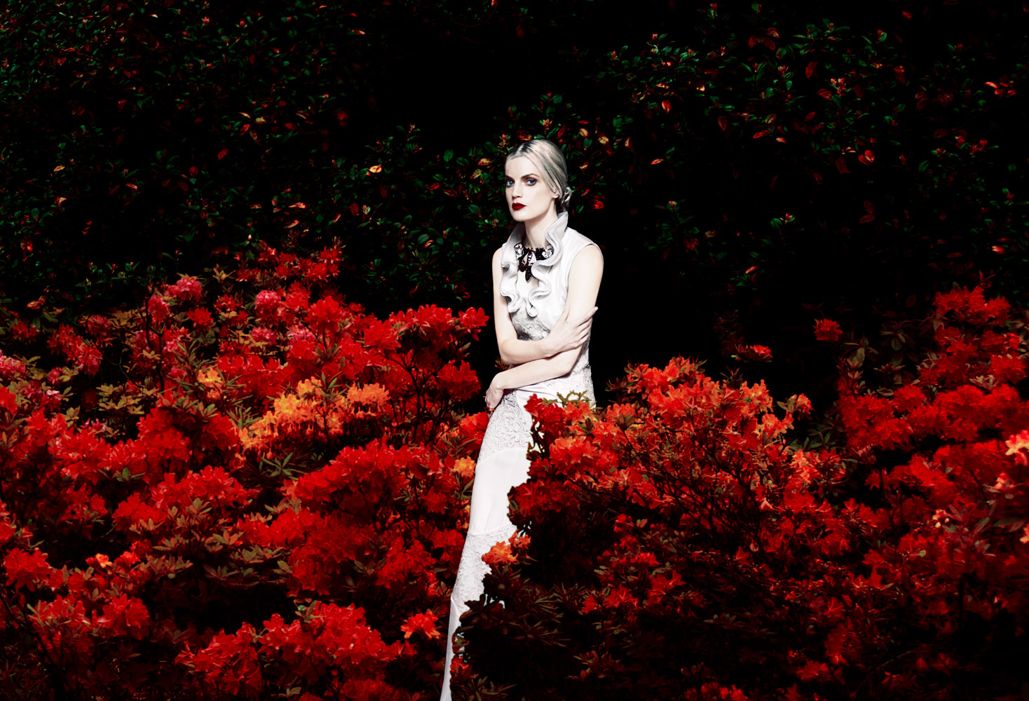 Guinevere van Seenus, photo #842680