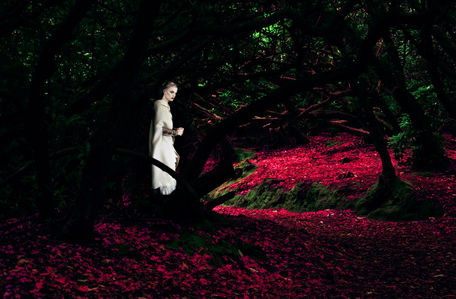 Guinevere van Seenus, photo #842672