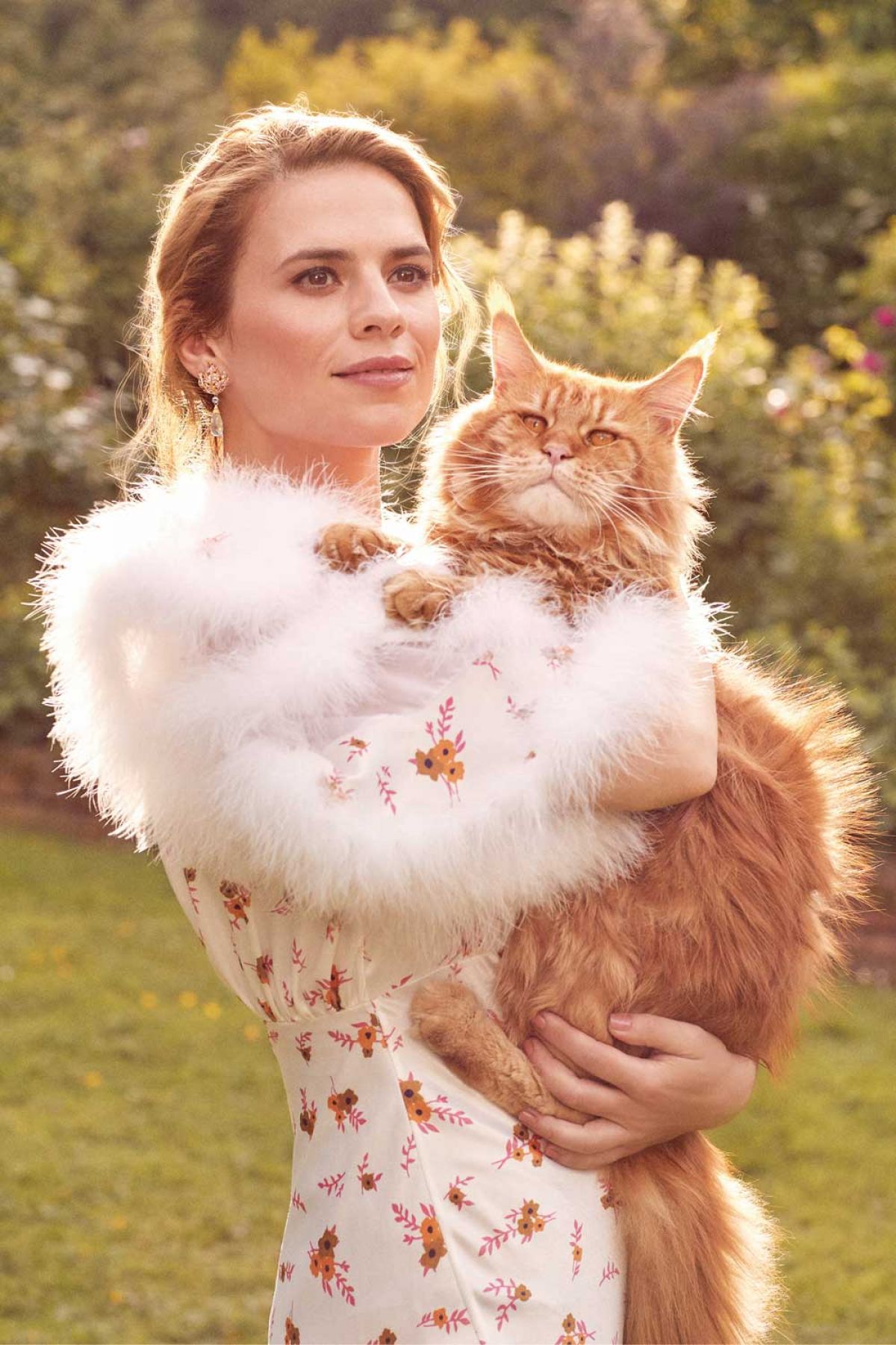 Hayley Atwell, photo #1061344