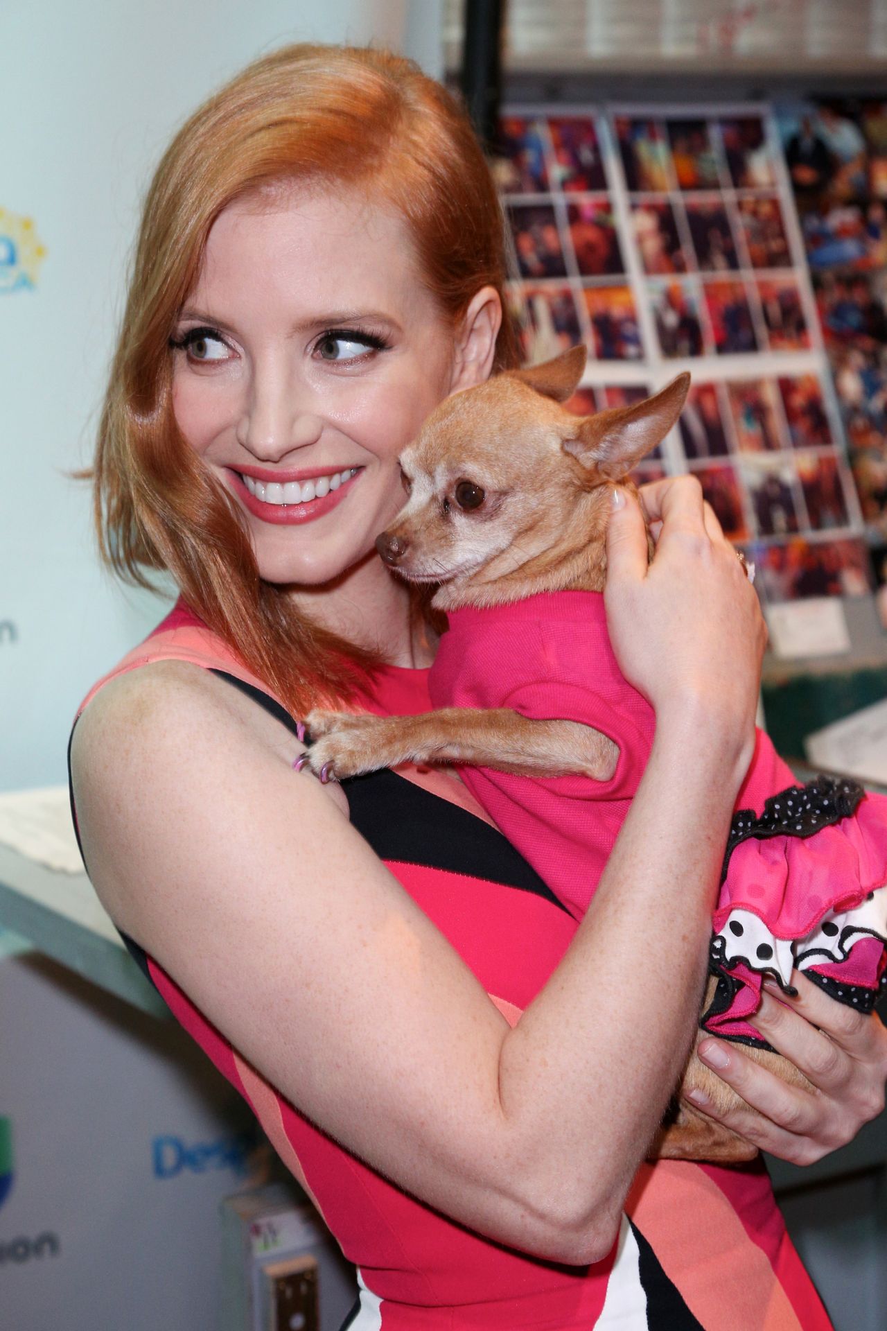 Jessica Chastain, photo #803736