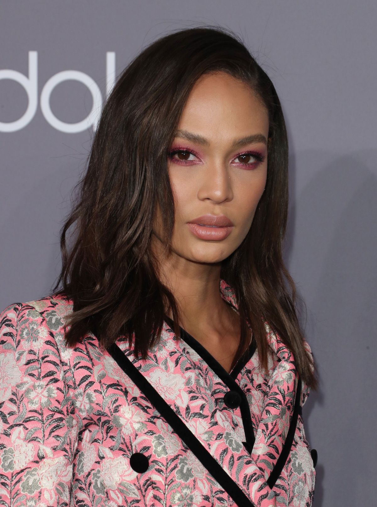 Joan Smalls, photo #1006597