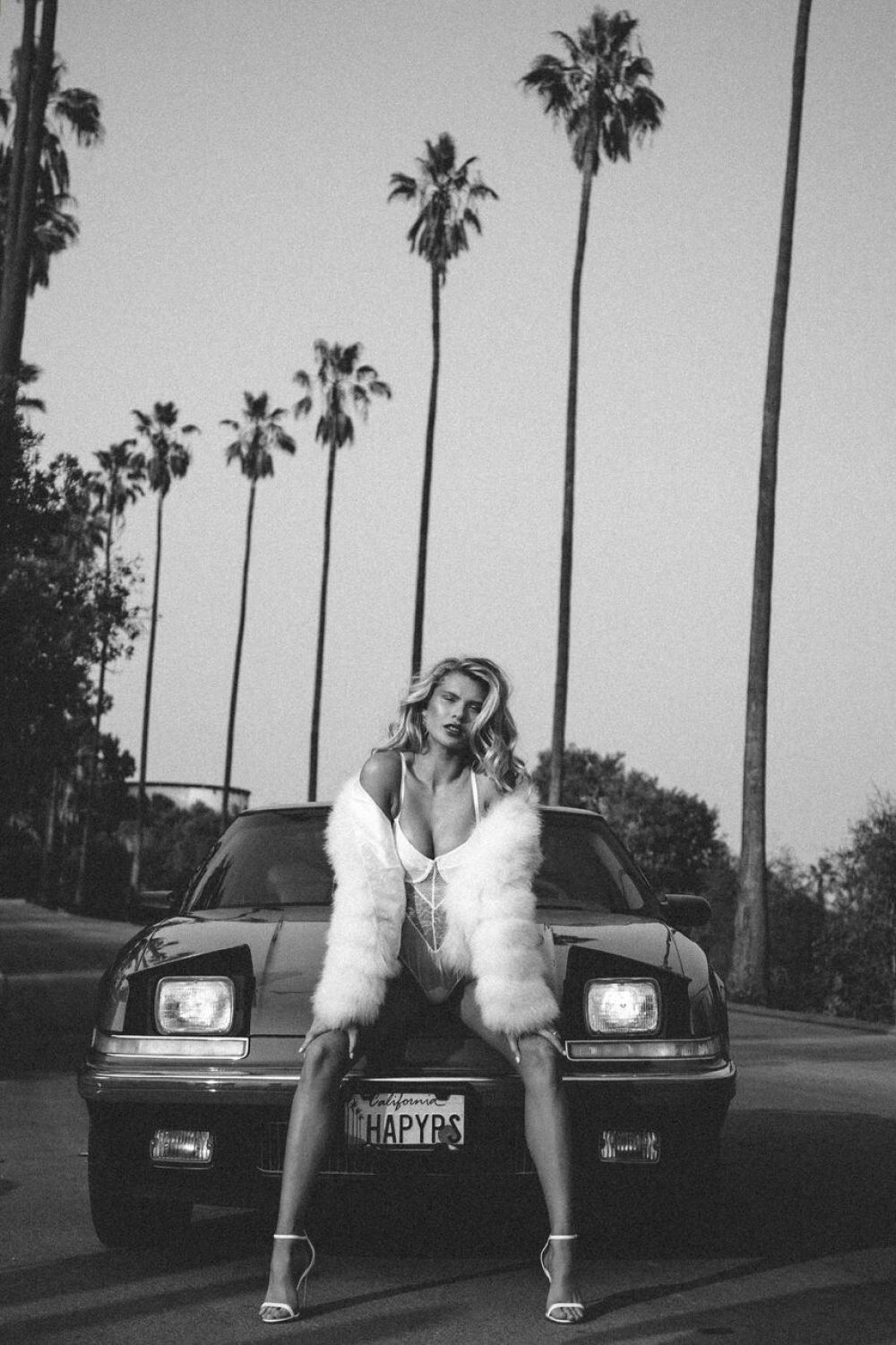 Josie Canseco, photo #1064146