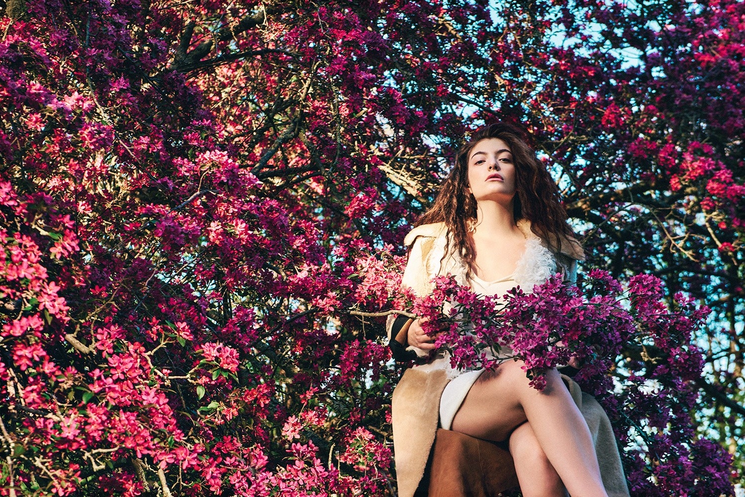Lorde, photo #781603
