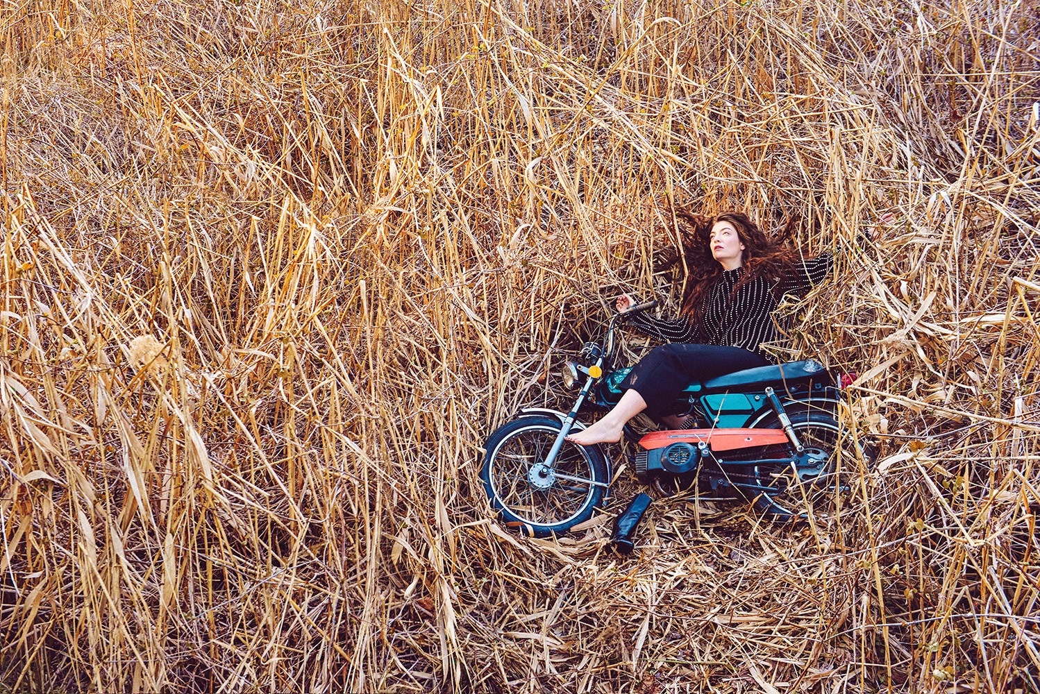 Lorde, photo #781602