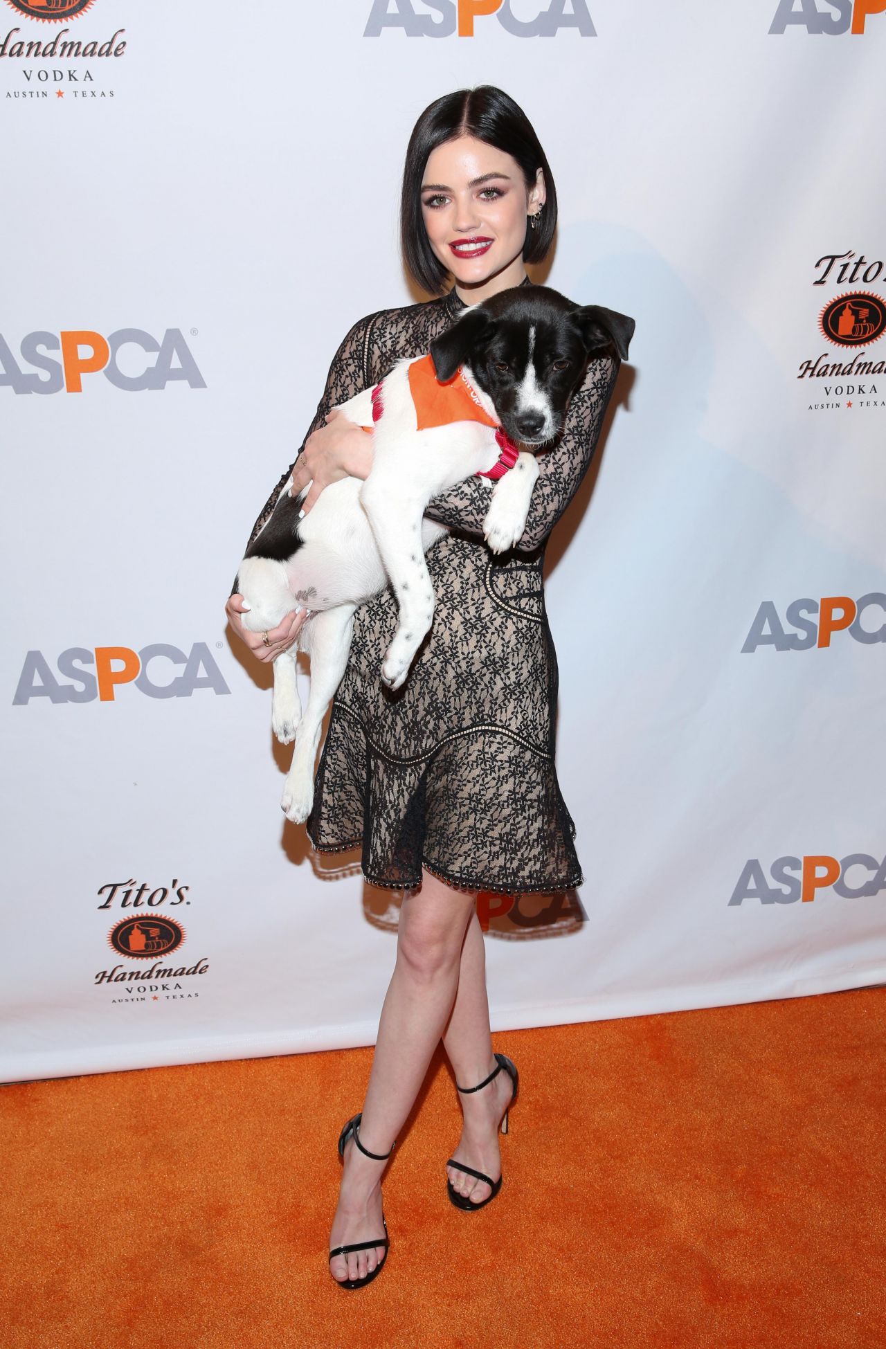 Lucy Hale, photo #926622
