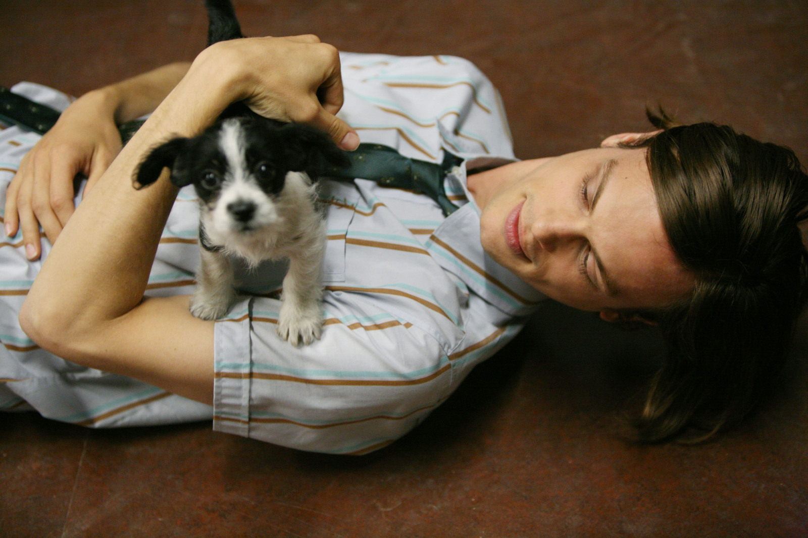 Matthew Gray Gubler , photo #629628
