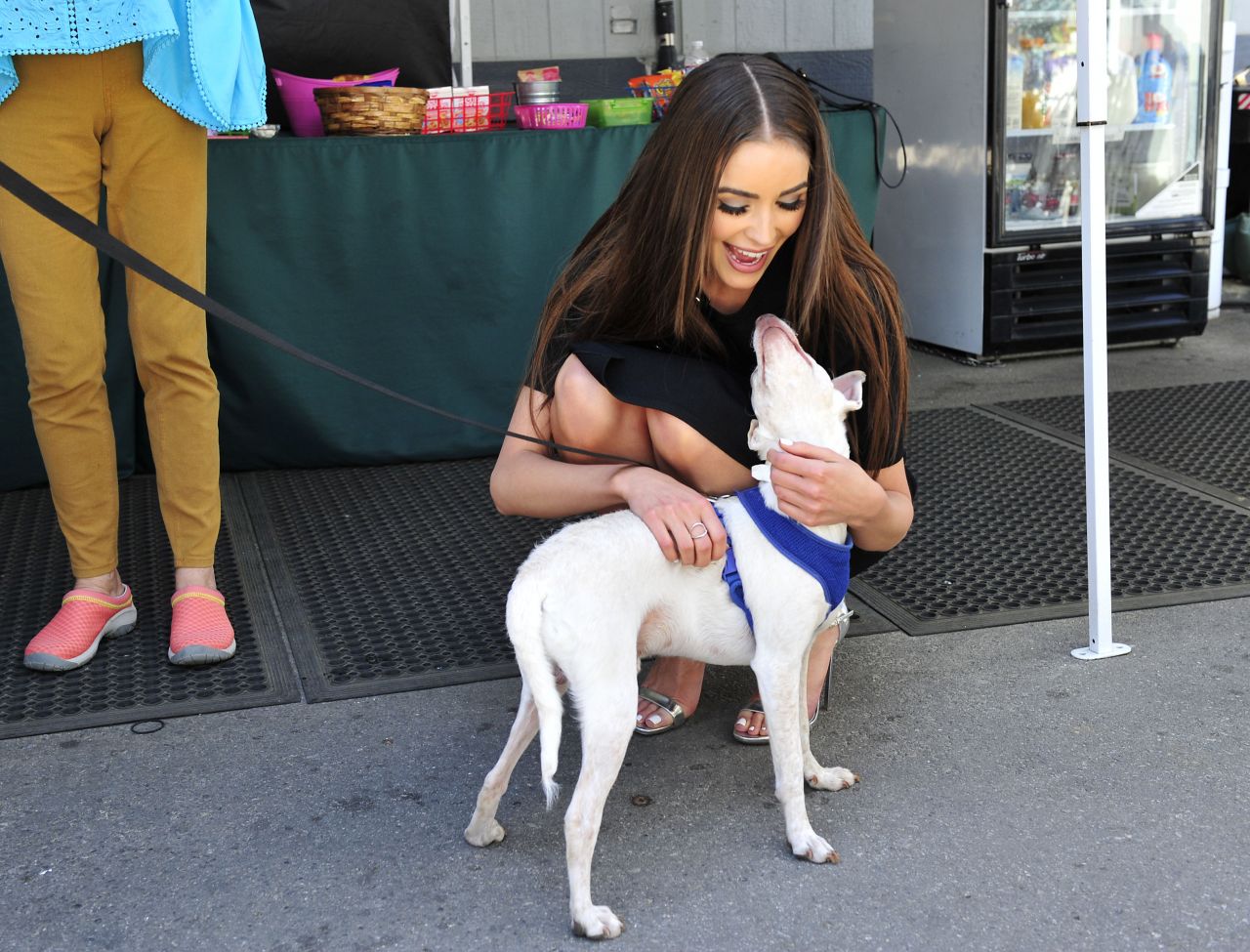 Olivia Culpo, photo #926958