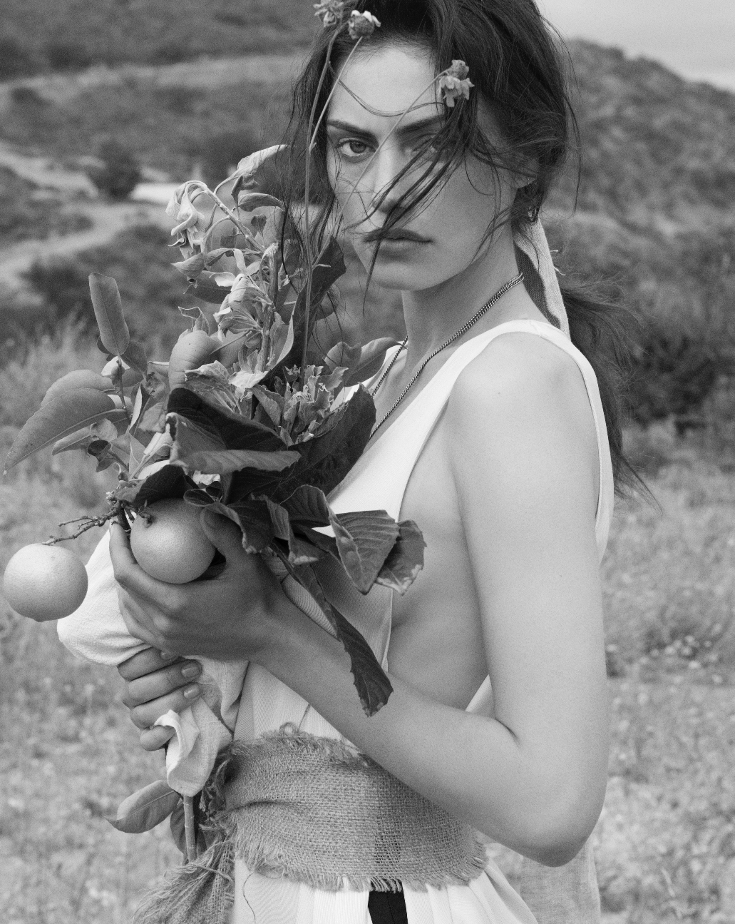 Phoebe Tonkin, photo #790538
