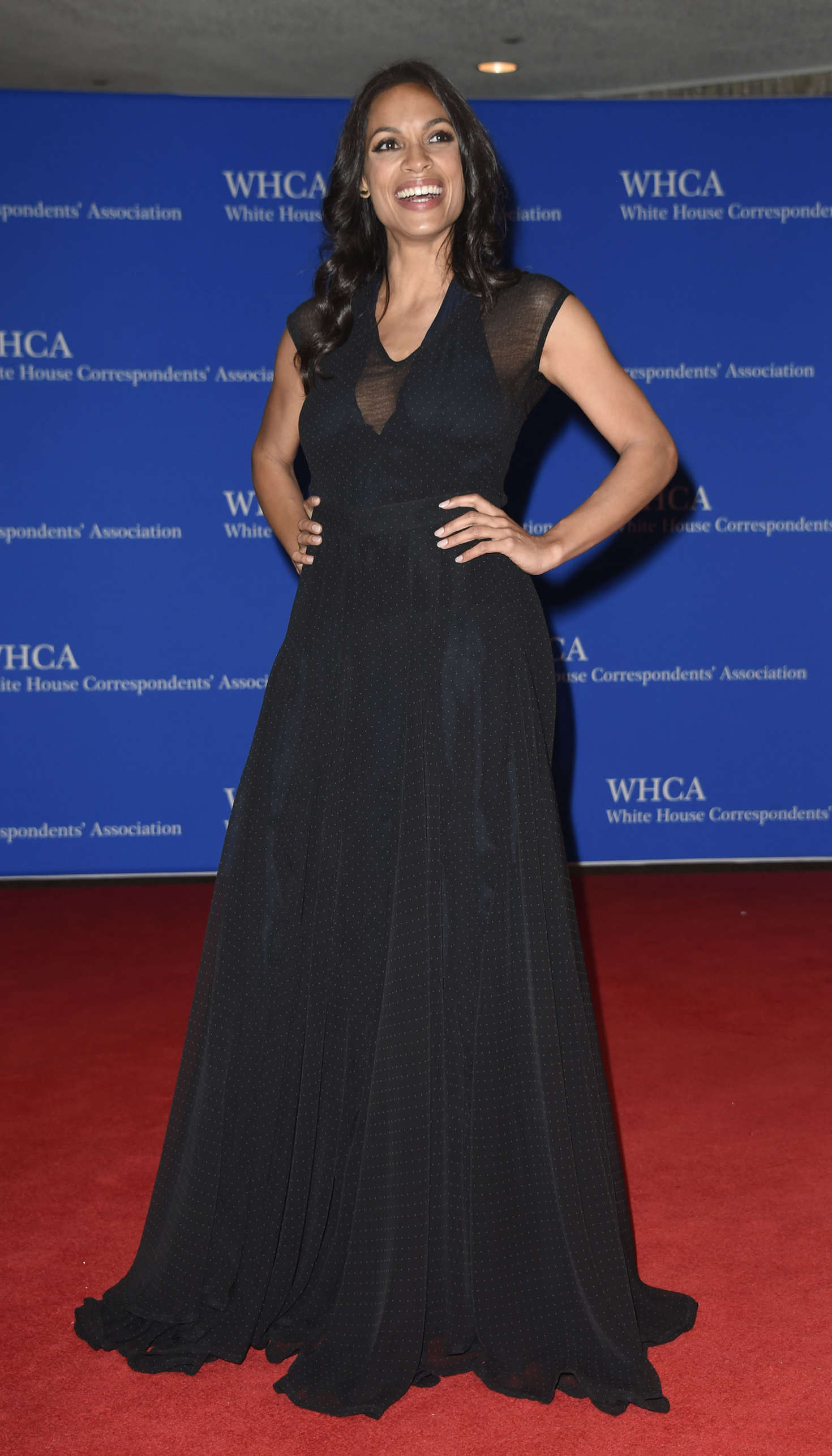 Rosario Dawson, photo #850006