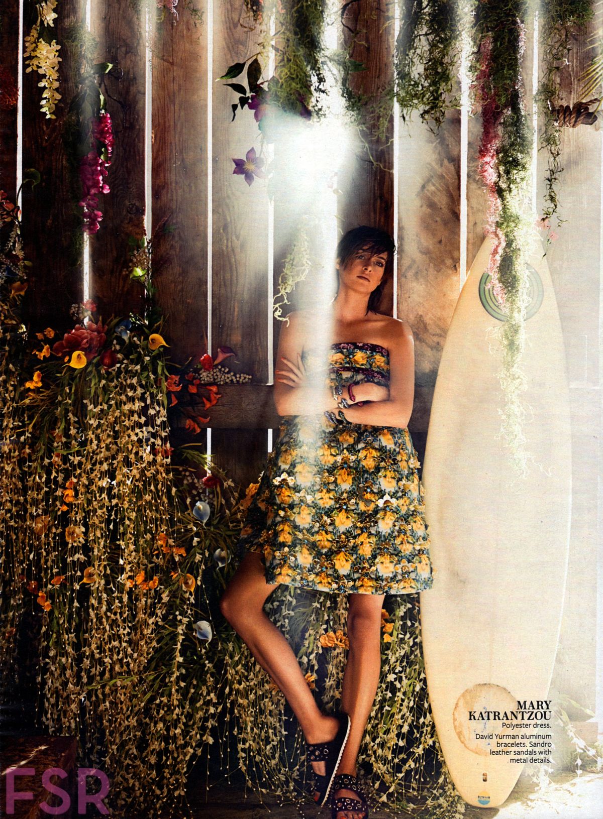 Shailene Woodley, photo #704741