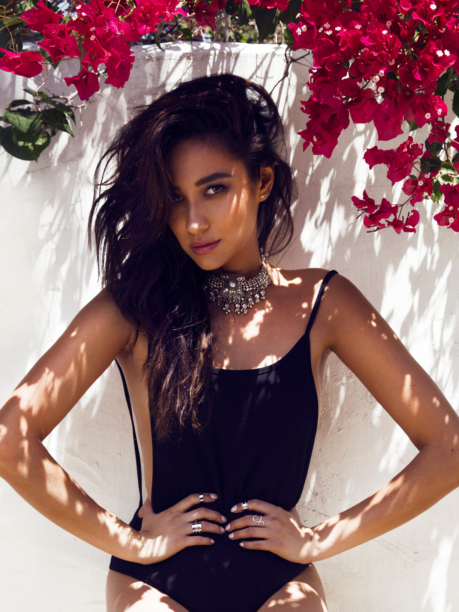 Shay Mitchell, photo #780954