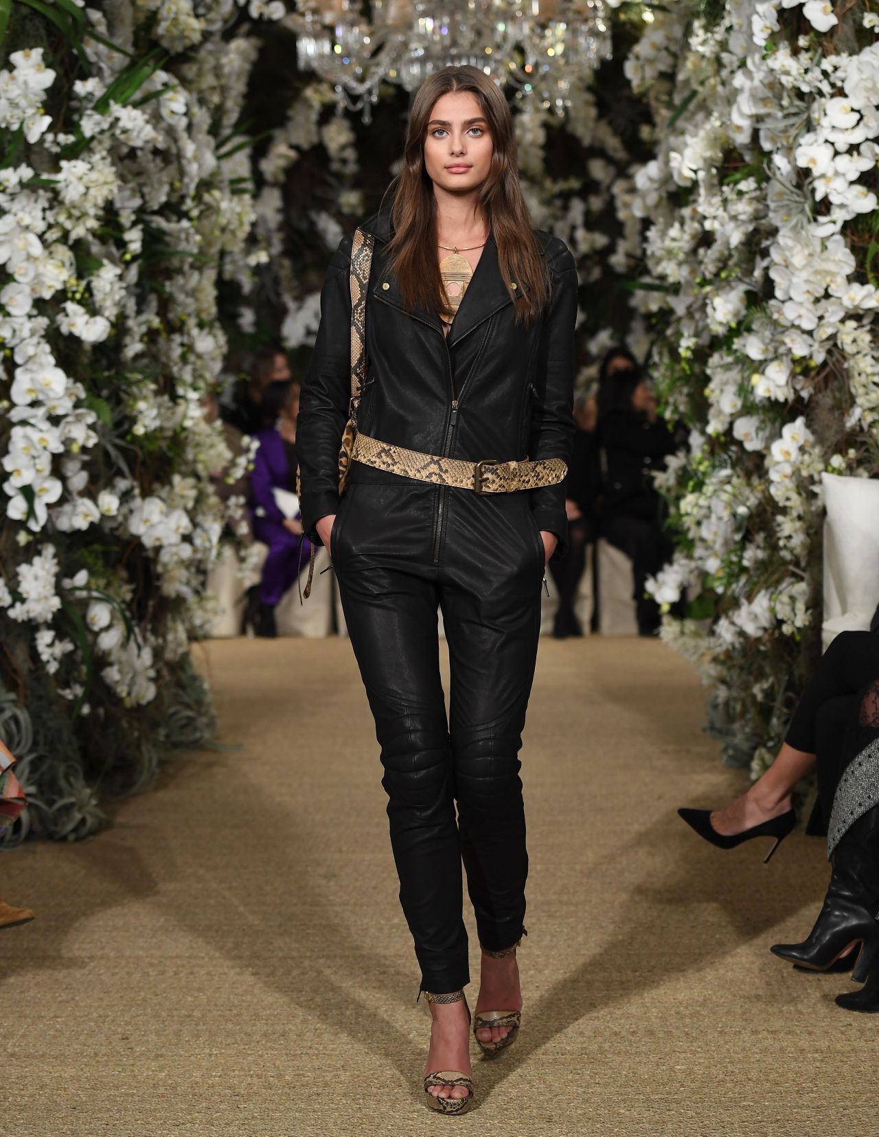 Taylor Hill, photo #944370