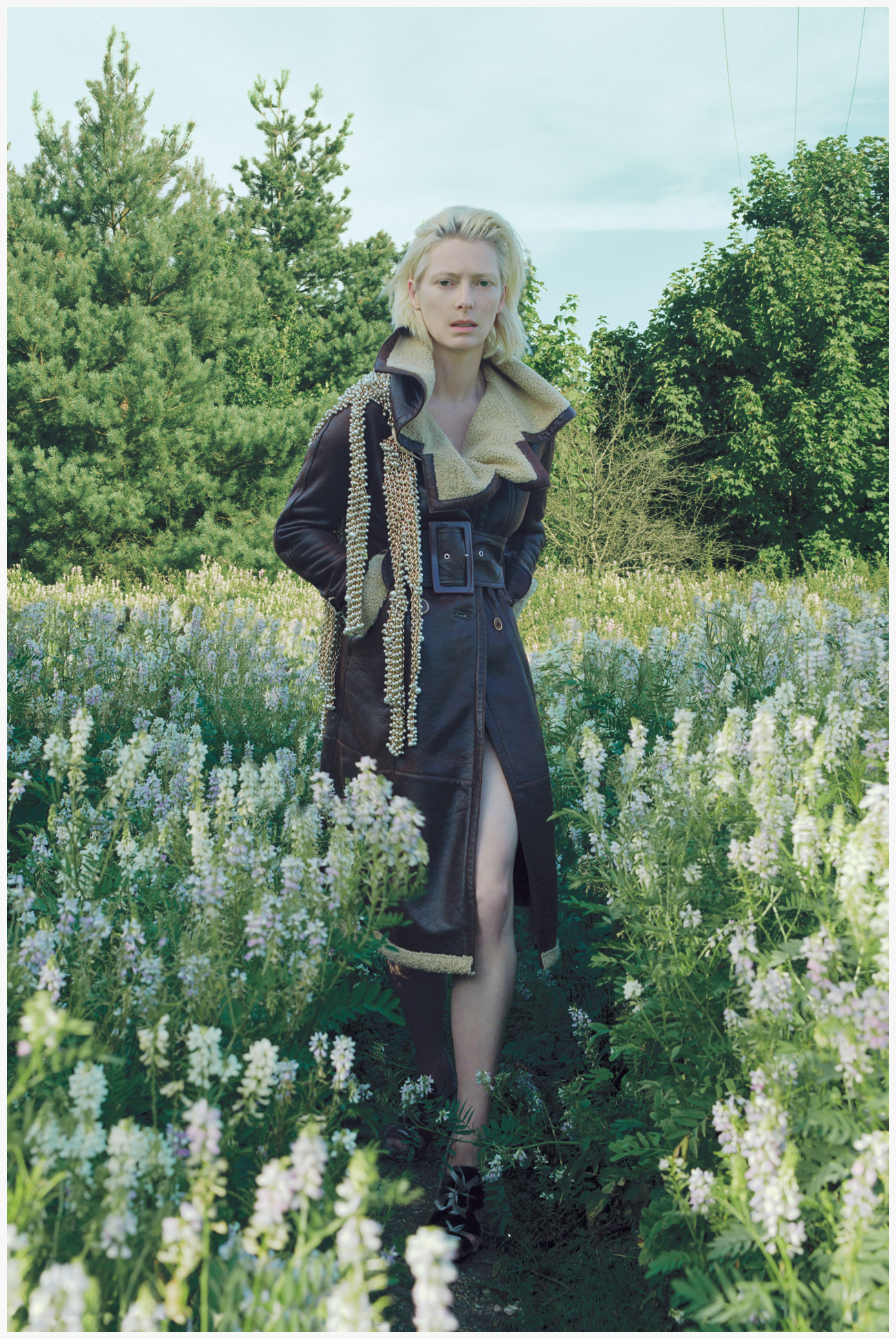Tilda Swinton, photo #691235