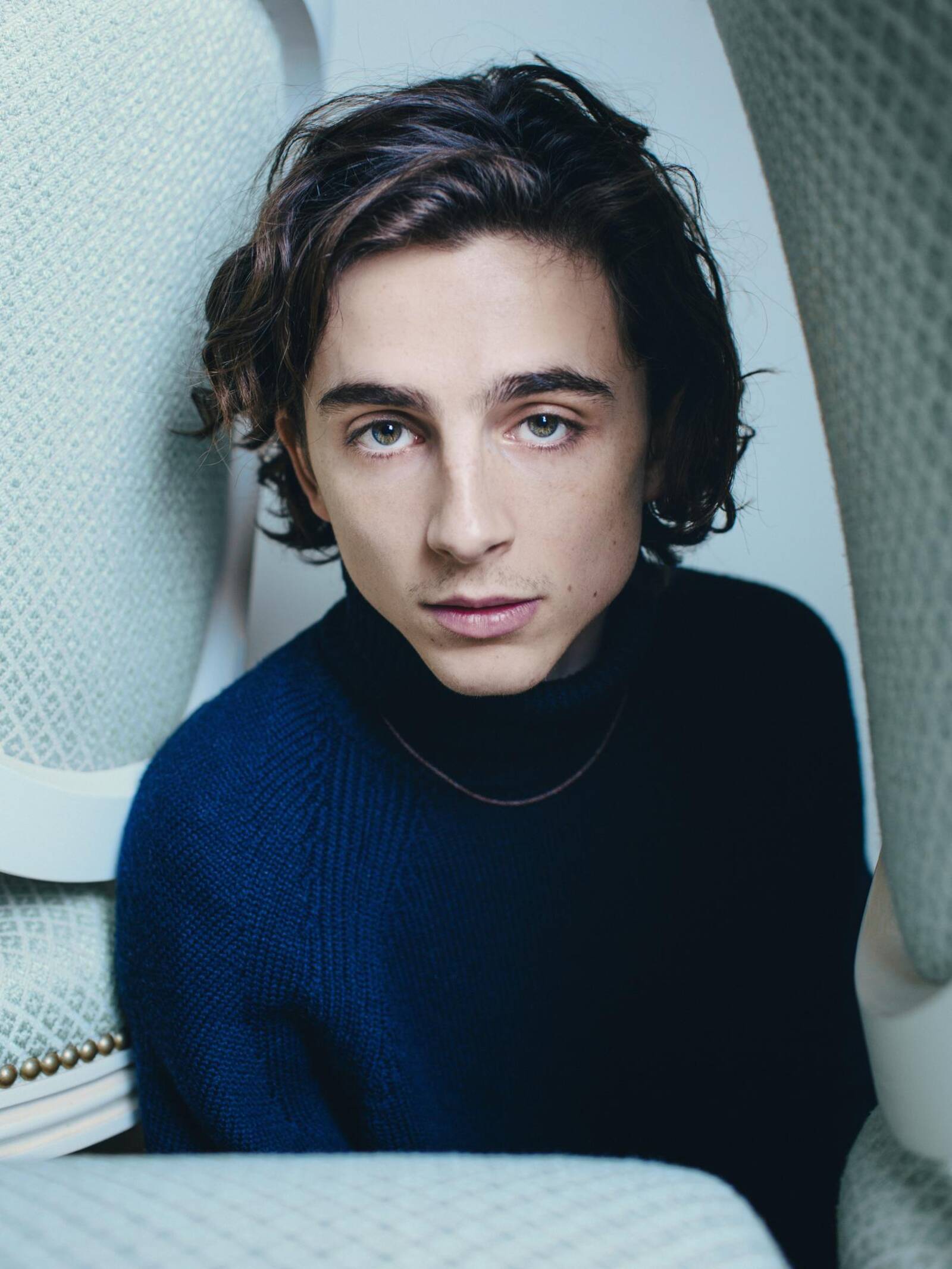 Timothee Chalamet, photo #1379685